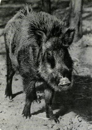     190 .