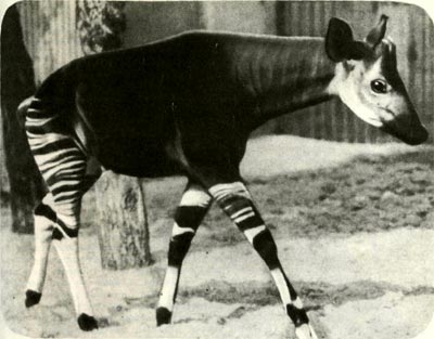        ,       1900 .