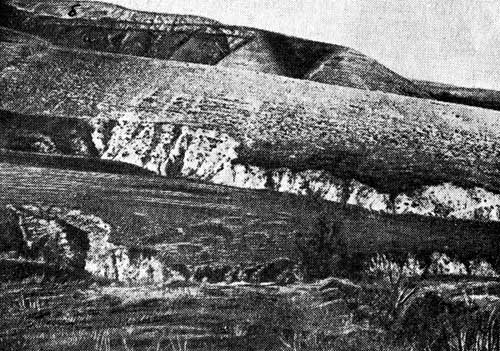 . 2.   . .   . . : ) -  ) -  