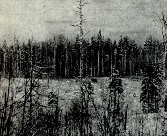 . IV.     -    .  .. 