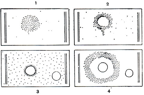 . 86.   : 1 -  ,        ; 2 -         ,    ; 3 -    ,      ; 4 -      ;     ,       ,    ,       