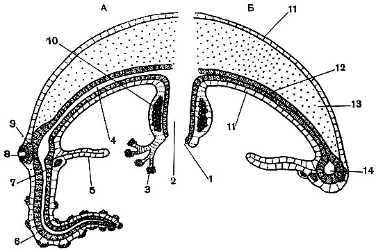 . 142.     :  -    ;  -   . 1 -  ; 2 - ; 3 -  ; 4 -  ; 5 - ; 6 -  ; 7 -   ; 8 - ; 9 -   ; 10 -  ; 11 - ; 12 - ; 13 - ; 14 -  