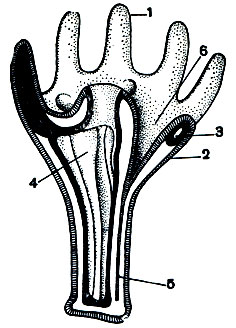 . 144.   : 1 - ; 2 - ; 3 -   ; 4 - ; 5 -  ; 6- .    ,  
