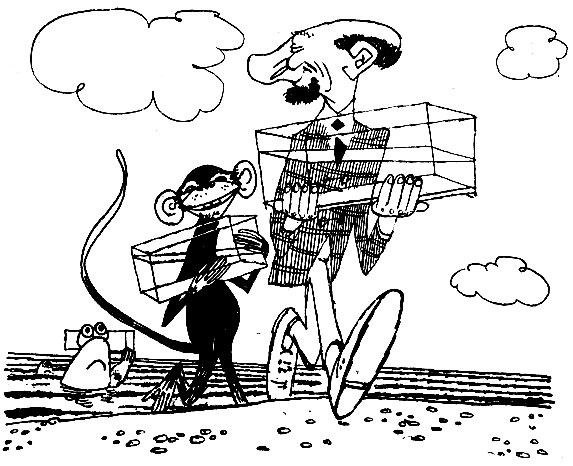 ���� ������� �����, ������� �� �����, ��� ������, �������� �����