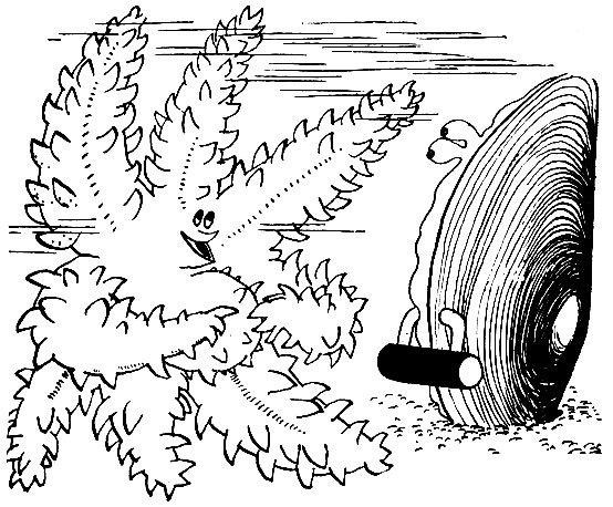 ������� ������ � �� �������� ������� ������� �������� �������� �����. ��� ��������� ������� �����. �������� ��������� ���� �������, ������ �������������� ������, ����� ������� ���� �������� ���������� ��������. ���������� ��������� ����� � ���� ��������� �������, ����� ������� �������� � ������ ��������. ������ ������ ��� ������ ����� ����� ������������ ���� ������ � �� �� ����������� ����