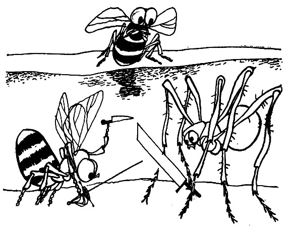 ������� ������� � ���������� � ������� �����. ���� ���������� ������� ���������. ������ ��������� ���, ���������� � ������� ��������� ����������