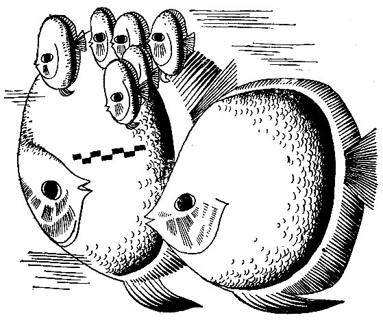 �������-����� � � ���. �������, ��� ����, �������, ������� � ��������, ������������ ������� ���������� ������ ������������ ����