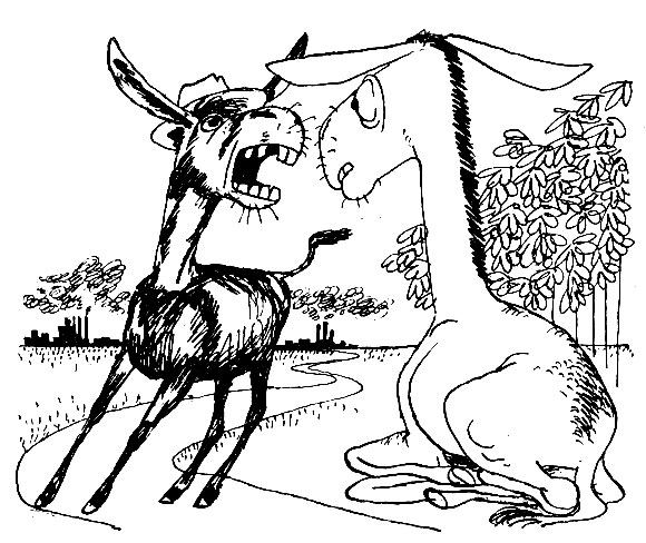 ���������� ��� - ������� ����