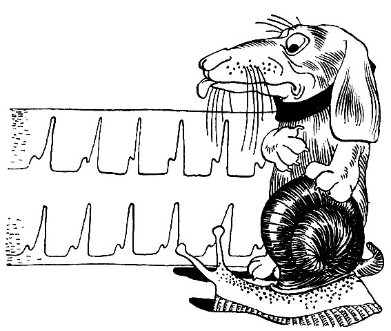 ��� ������� ��������, ��� ���� � ���� ��������