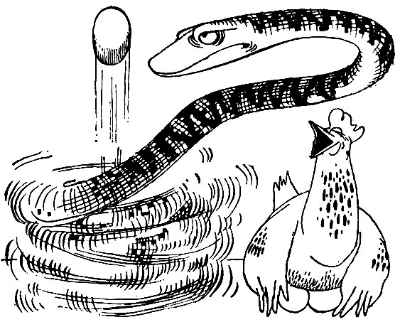 �������� ���������� �������������� ���������� ������������� ���������� �����, ������� � ���������� ����� ����������� ������������� ��������������