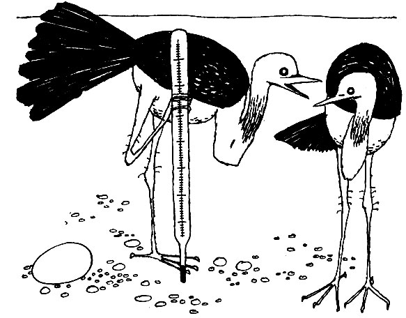 �������� - ������ ���� ��������� � ����� ������ ������� ������� � ���������� ����������� �����������. ���� �� ������������ � ������ ��� ���������� ������� ��������. ���� � ������� �������� ���������� �����������. ������� ��� �������� � �����, ����� ����� ���������� �����������