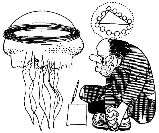        . (       ,        .)    ,   ,     .   -  ,      ,     ,   