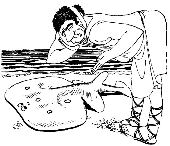 ������ ����������, ����� �������� �����������, �����, ��� ������� �����, ������ ����� ��������������, ��������� ������ ���������������� ���������� ������� ������ - ���