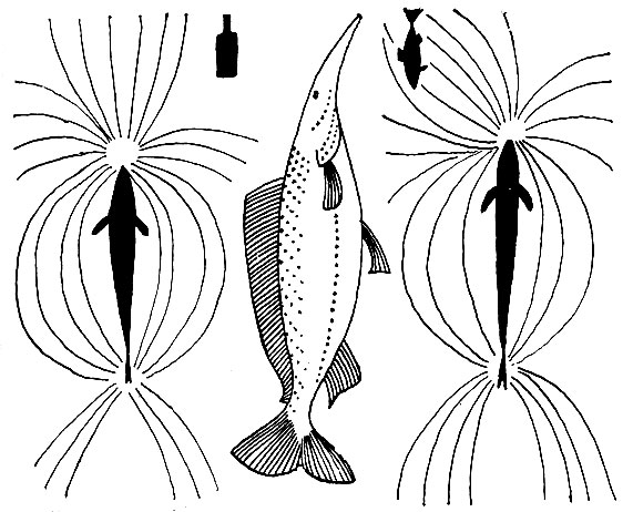 ����� ������������ ���� ������, ��� ��������� ������ ������������ �������� ��������������� ������, ������� �������