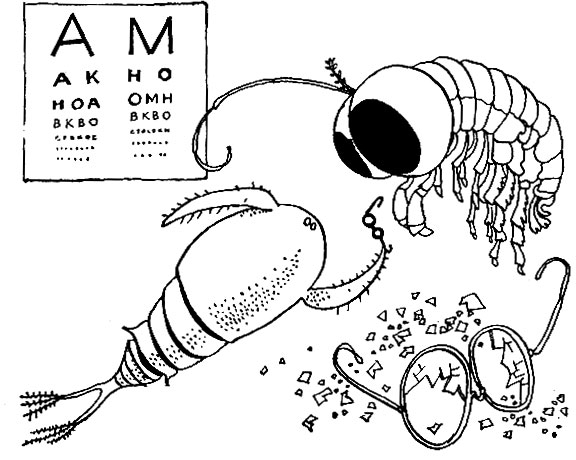 ����� ������ ���������� ����� ����������� �������� �� ����� ���������������� � �����