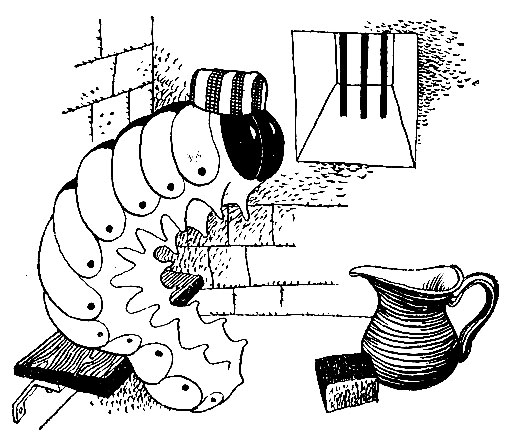 ������� �����