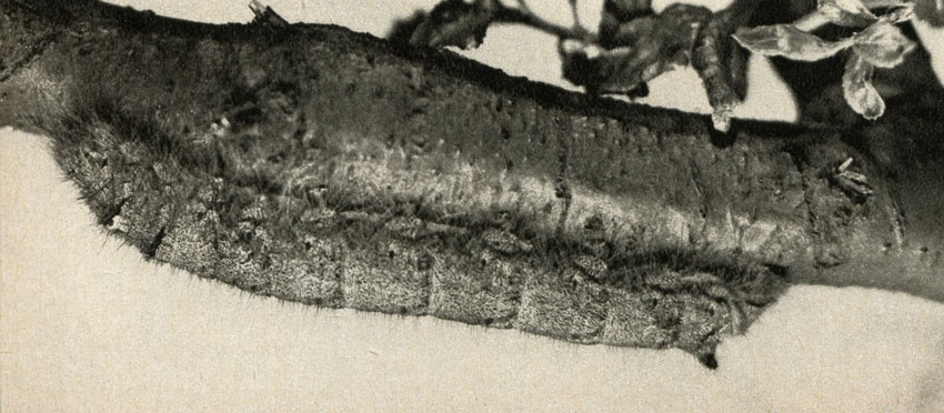      10       ,  