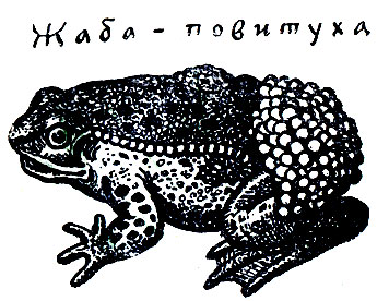 ����-��������