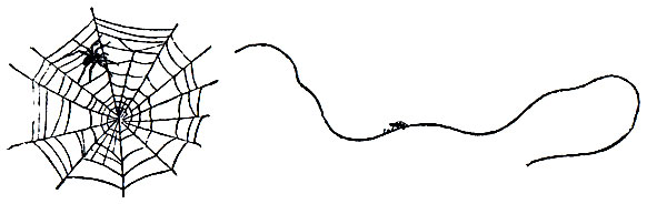 �������� ��������