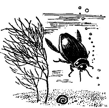 ���-��������