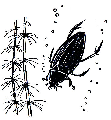 ���-�������