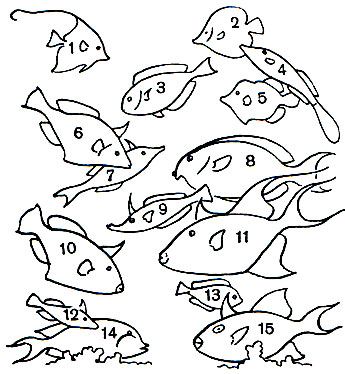  44. ,   : 1 -   (Zanclus cornutus); 2 -  -,   (Zebrasoma flavescens); 3 - - (Paracanthurus theuthis); 4 -   (Osbecki a scripta); 5 -   (Chaetoderma penicilligera); 6 -  (Rhinecanthus rectangulus); 7 -  (Triacanthus biaculeatus); 8 - - (Acanthurus achilles); 9 -   (Oxymonacanthus longirostris); 10 -   (Balistes conspicillum); 11 -   (Balistes vetula); 12 -   (Rhinecanthus aculeatus); 13 -   (Acanthurus triostegus); 14 -  - (A. olivaceus); 15 -   (Pseudobalistes fuscus)