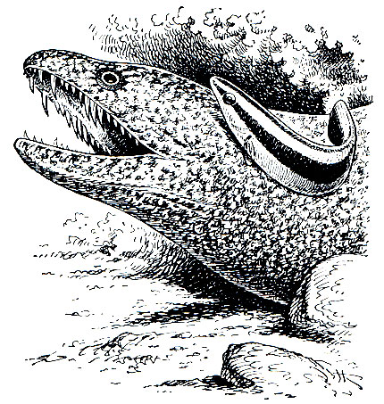 . 188. - (Labroides phthirophagus)   (Gymnothorax eurostus)
