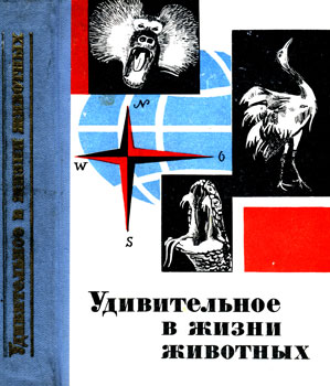 ������������ � ����� ��������