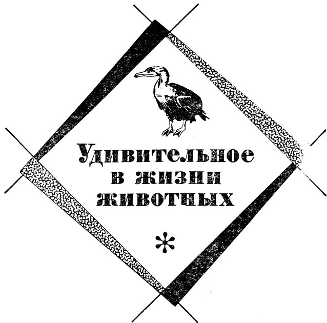 ������������ � ����� ��������