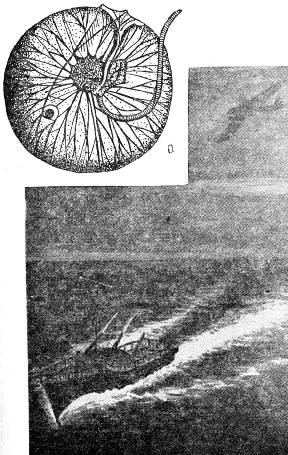 ���. 2. ������� ��� ����������� ����� ���������; � - ����������