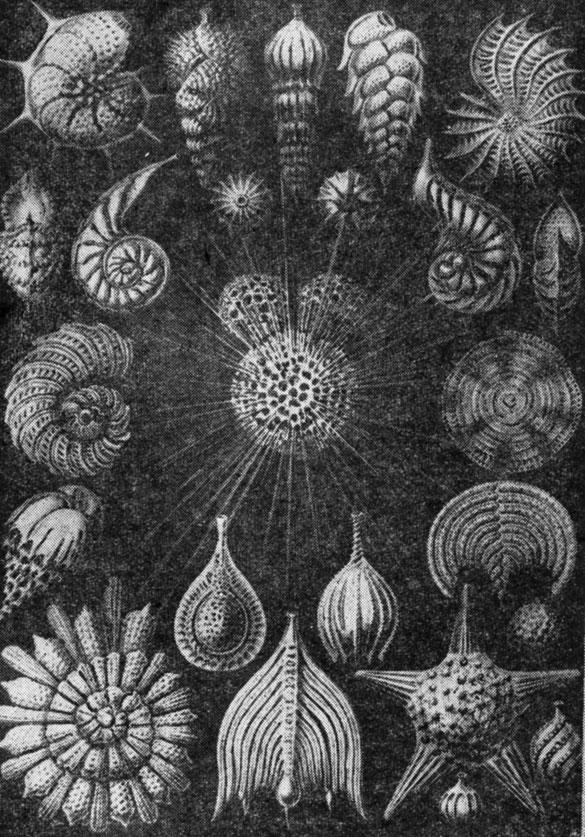 ���. 3. ������������