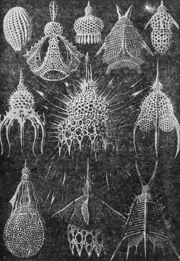 ���. 4. ����������