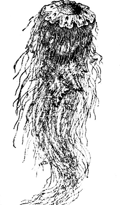 ���. 5�. ������ ������