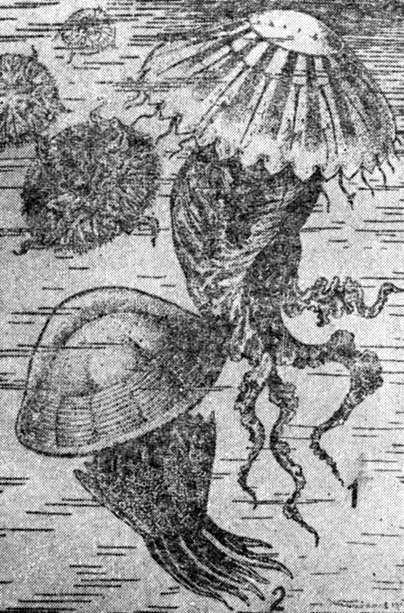 ���. 5 �. ��������� ������ (1), ��������� (2)