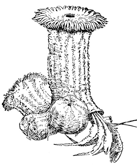 ���. 6. ������� �� ��������, ������� �����-�����������