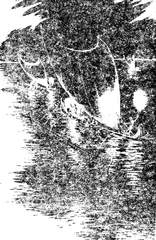 ���. 8. ��� ������