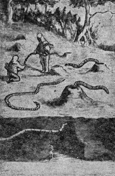 ���. 9. ���������� �������� ����� ������������