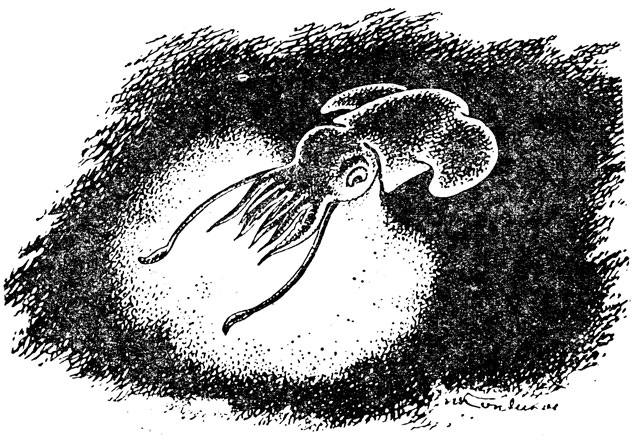 ���. 12�. ���������� ���������� �������