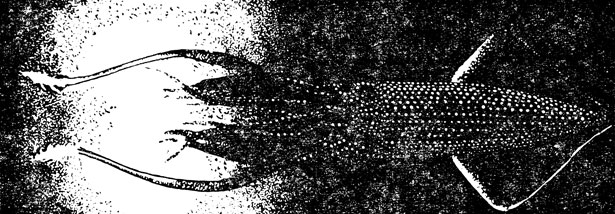 ���. 12�. �������-��������� ���������