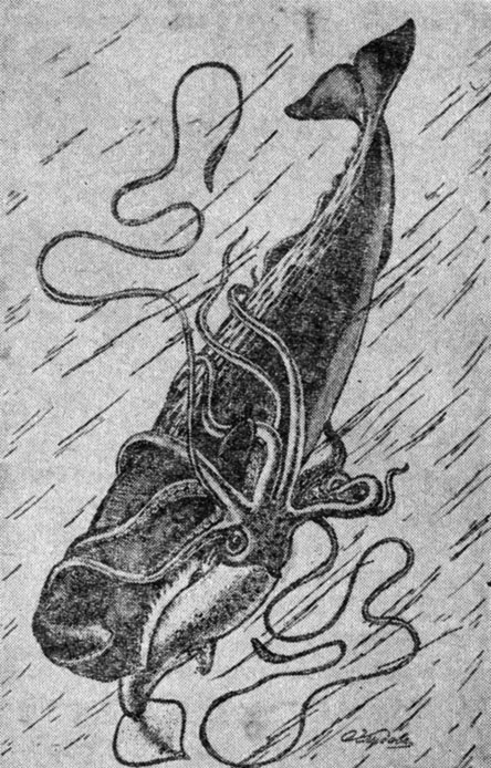 ���. 13. ������� ���� ��������