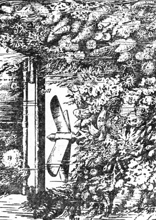 ���. 15. ���������� ����� ������: 1 - ������� �������� ���������; 2 - ������� ����� �����; 4, 5, 6 - ������� ���������; 7 - �����; 8 - ��������; 9 - ������� ������� (�������); 10 - ����������� ������� ������ ����� ���������; 11 - ����������� ������� ������ ����� ���������; 12, 13, 14 - ������; 15 - �����; 16 - �������; 17 - ������� �������; 18 - ������� ������; 19, 20, 21 - ����������