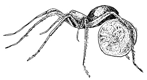 ���. 16. ����� ������� � �������