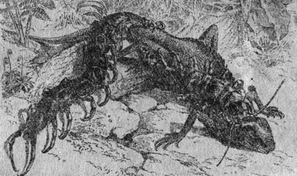 ���. 17. ���������� �����������, �������� �� �������