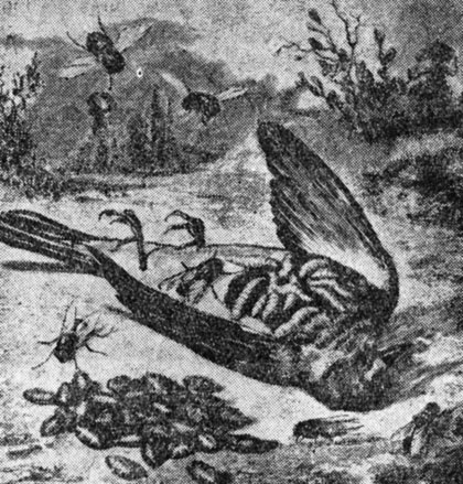 ���. 18. ������� ����, �� ������� � ������