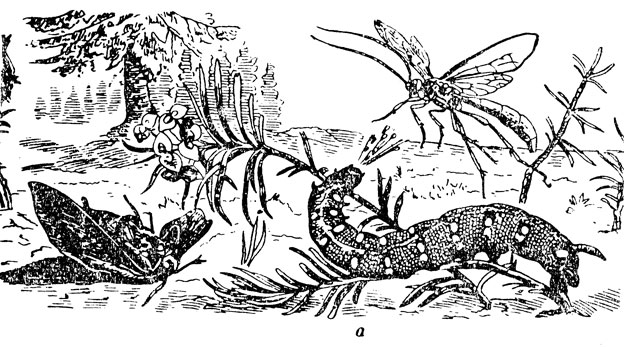 ���. 22. �������� ���������� �� ���������