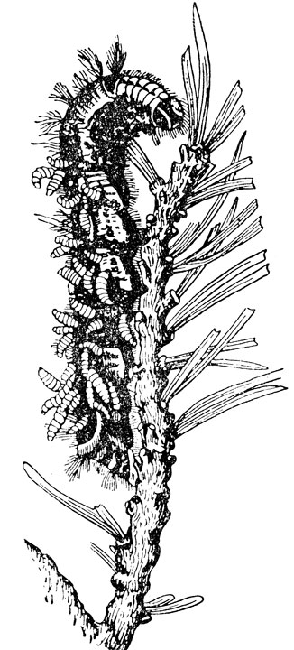 ���. 23. ������� ��������� ������� �� ���� ��������