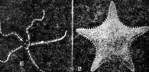 ���. 26�. ���������: 3 - ������; 4 - ������� ������