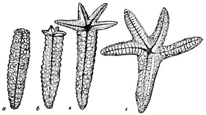 ���. 28. ����������� ������� ������