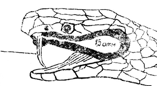 ���. 44. ����� ����������� �������� � �����