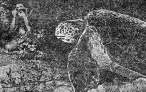 ���. 47. ������� �������� ������� �� ���� ��� ������������ ���